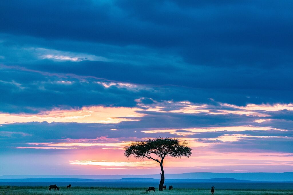Massai Mara Sonnenuntergang Afrika Natur Horizont Medizinische Traditionen Afrika Natürliche Heilung